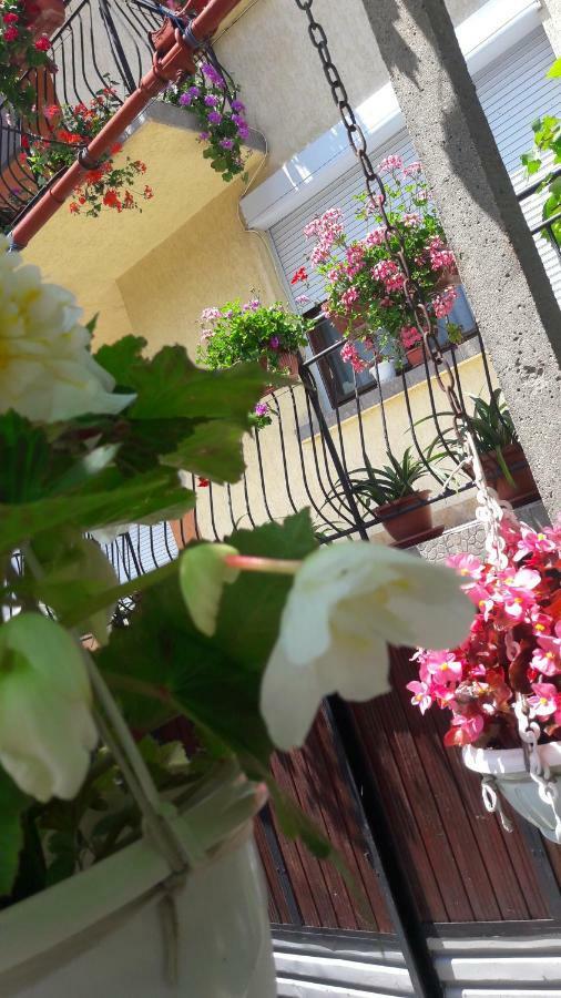 Gasthof Guest Ider *